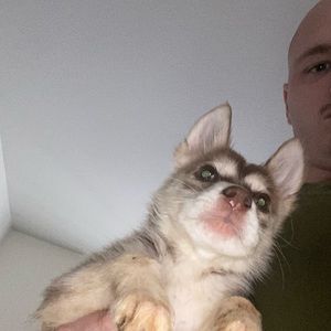 Meet your Posher, Matthew